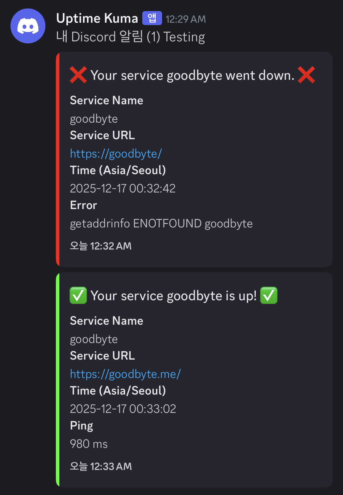 워드프레스 메인에 뜬금없는 JSON 코드가 떴다 (feat. Uptime Kuma 도입기)